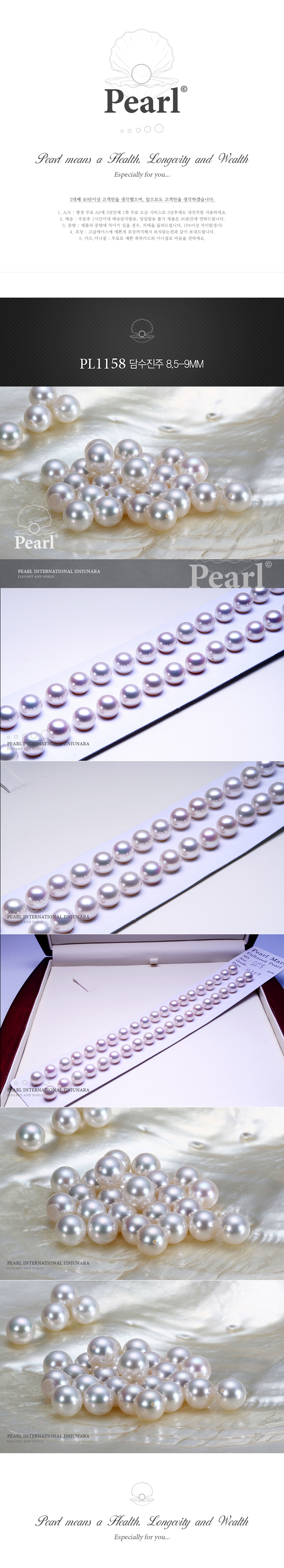 pl1158f_d.jpg